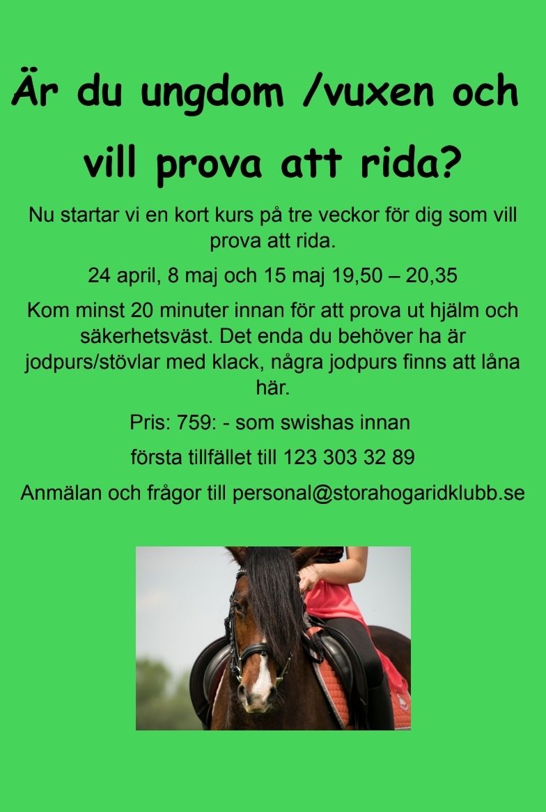 Är du ungdom/vuxen och vill prova att rida?