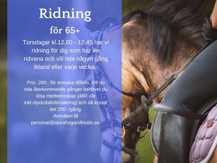 Ridning 65+