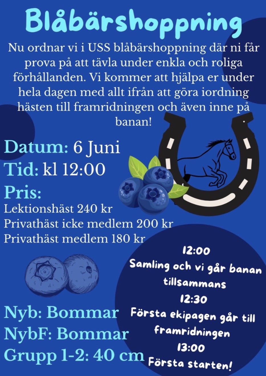 Blåbärshoppning 6 juni